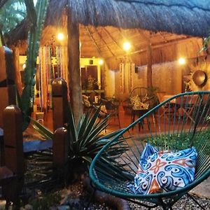 Barrio Latino Hotel Riviera Maya